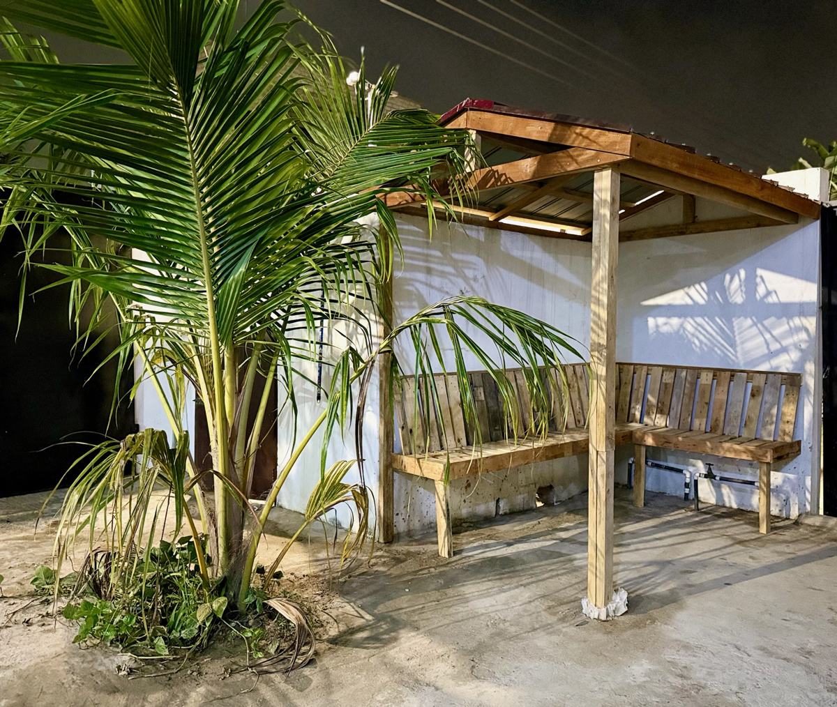 Covered outdoor seating area with palm tree